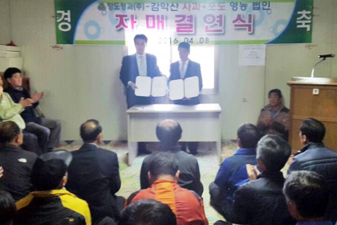 이미지