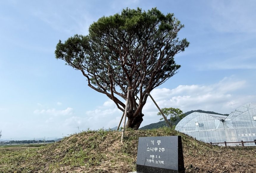 뉴스 이미지