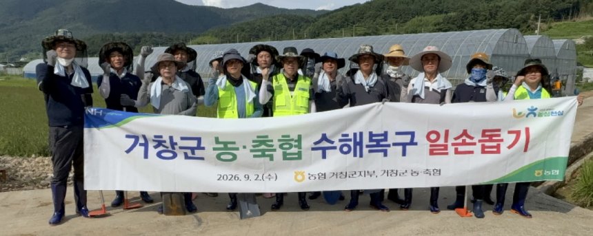 뉴스 이미지