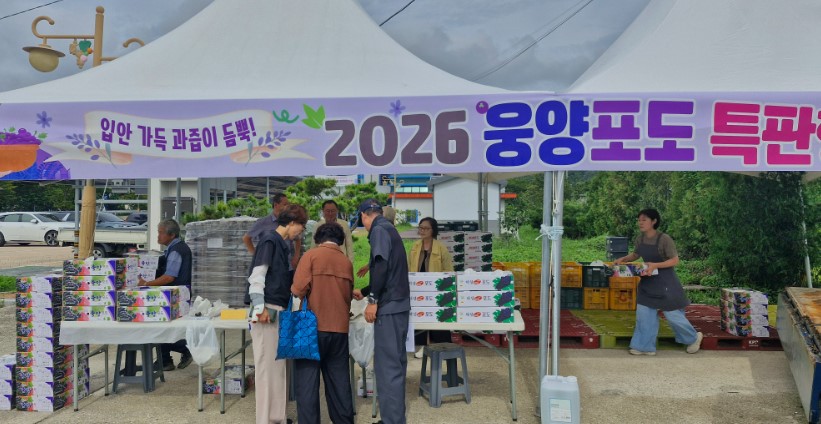뉴스 이미지